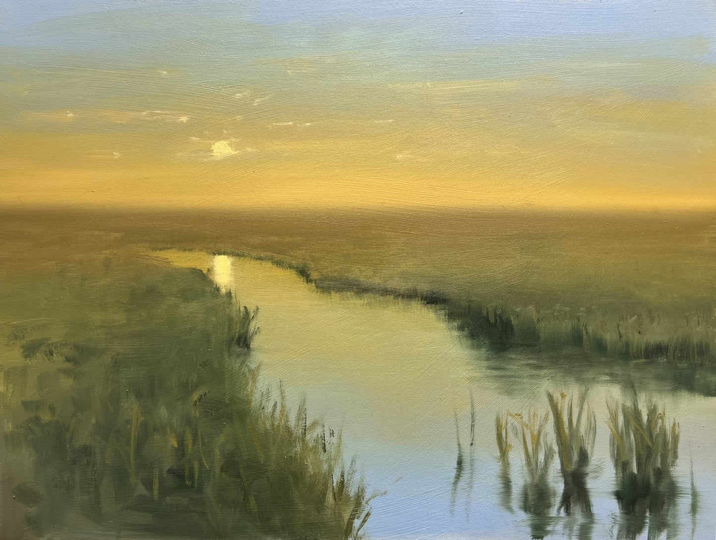 Peta Wainwright: The Tern's Passage
