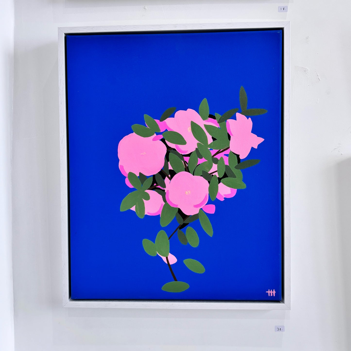 Tom Holland - Camellia