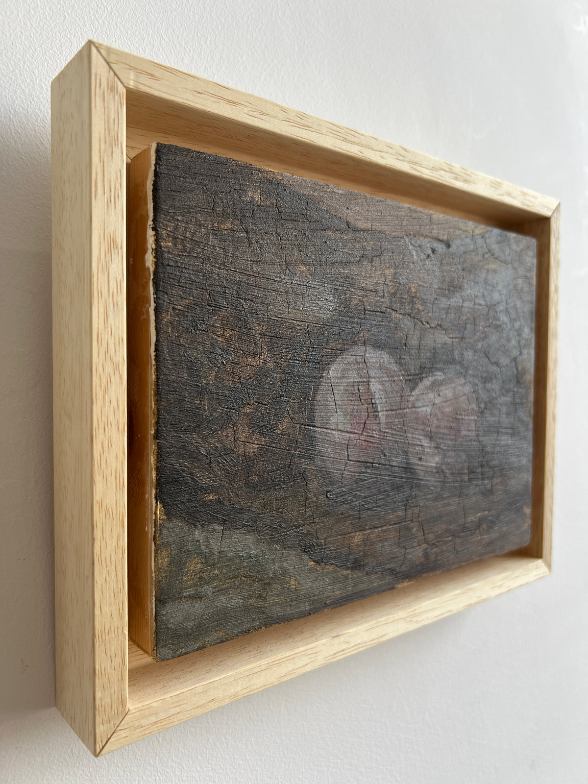 Rachel Hertz : Dark Plums