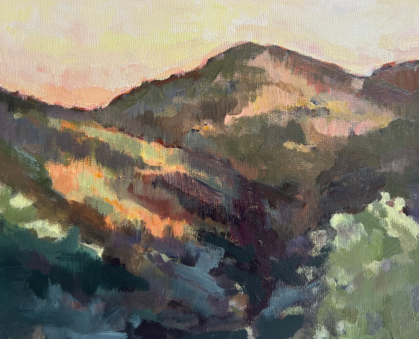 Nicola Stratton Tyler ASWA: First Light on the Hillside