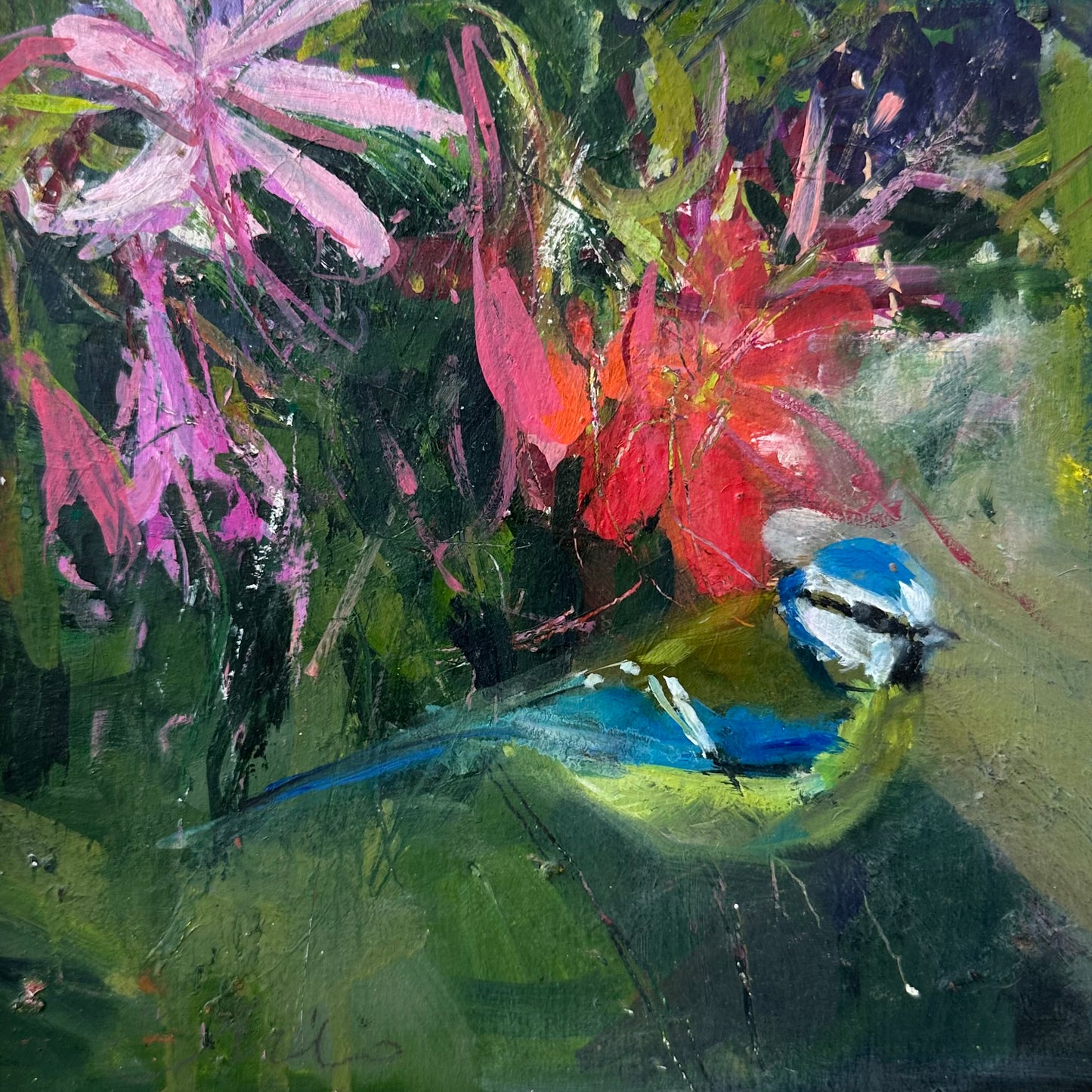 Chloe Mandy: Summer Bluetit