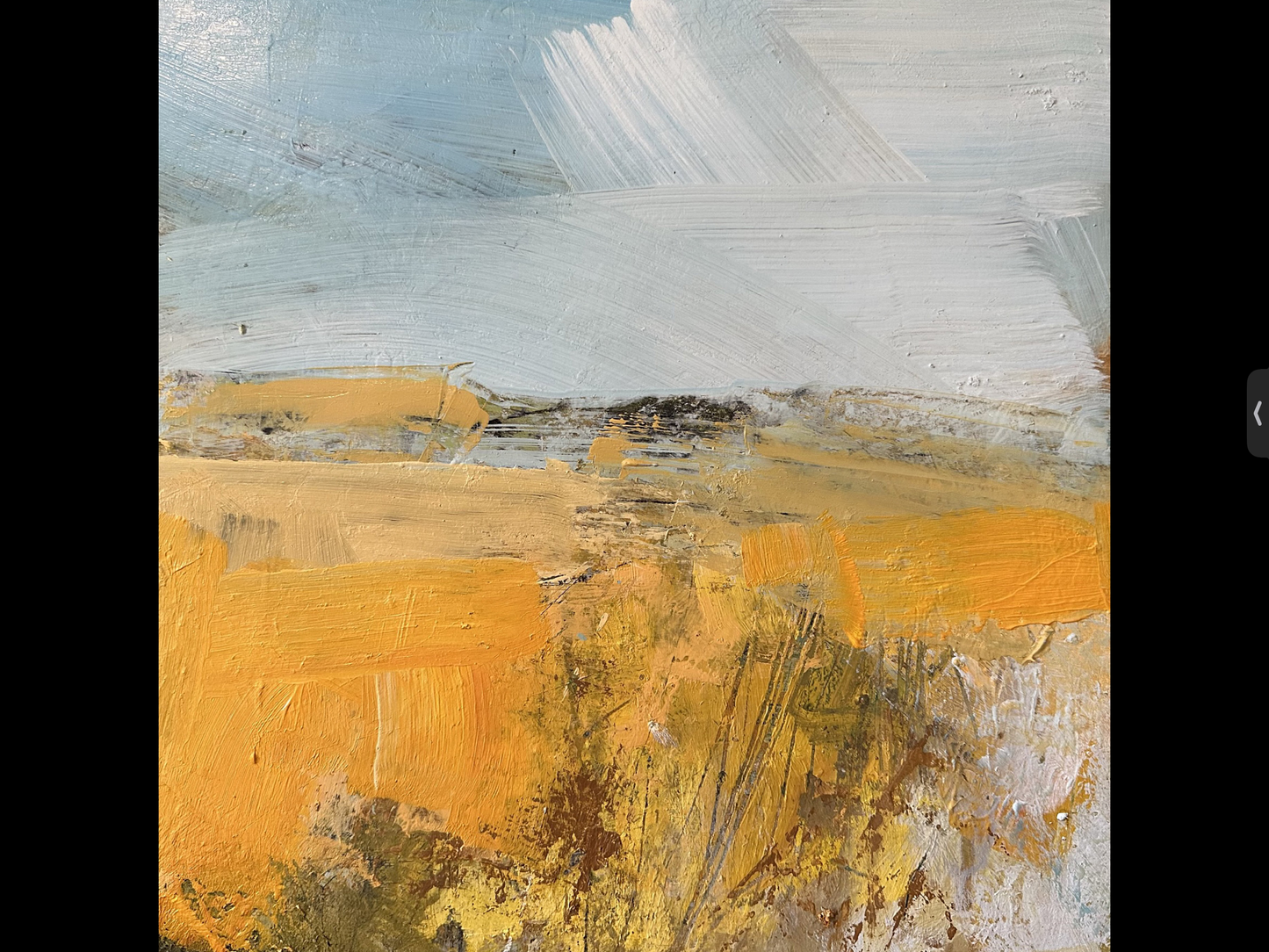 Richard Bayliss: Barley Fields