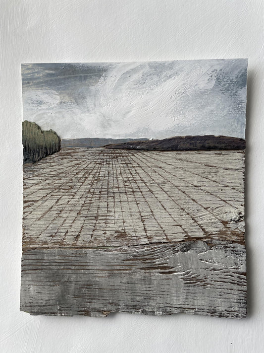 Jo McChesney: Fields II