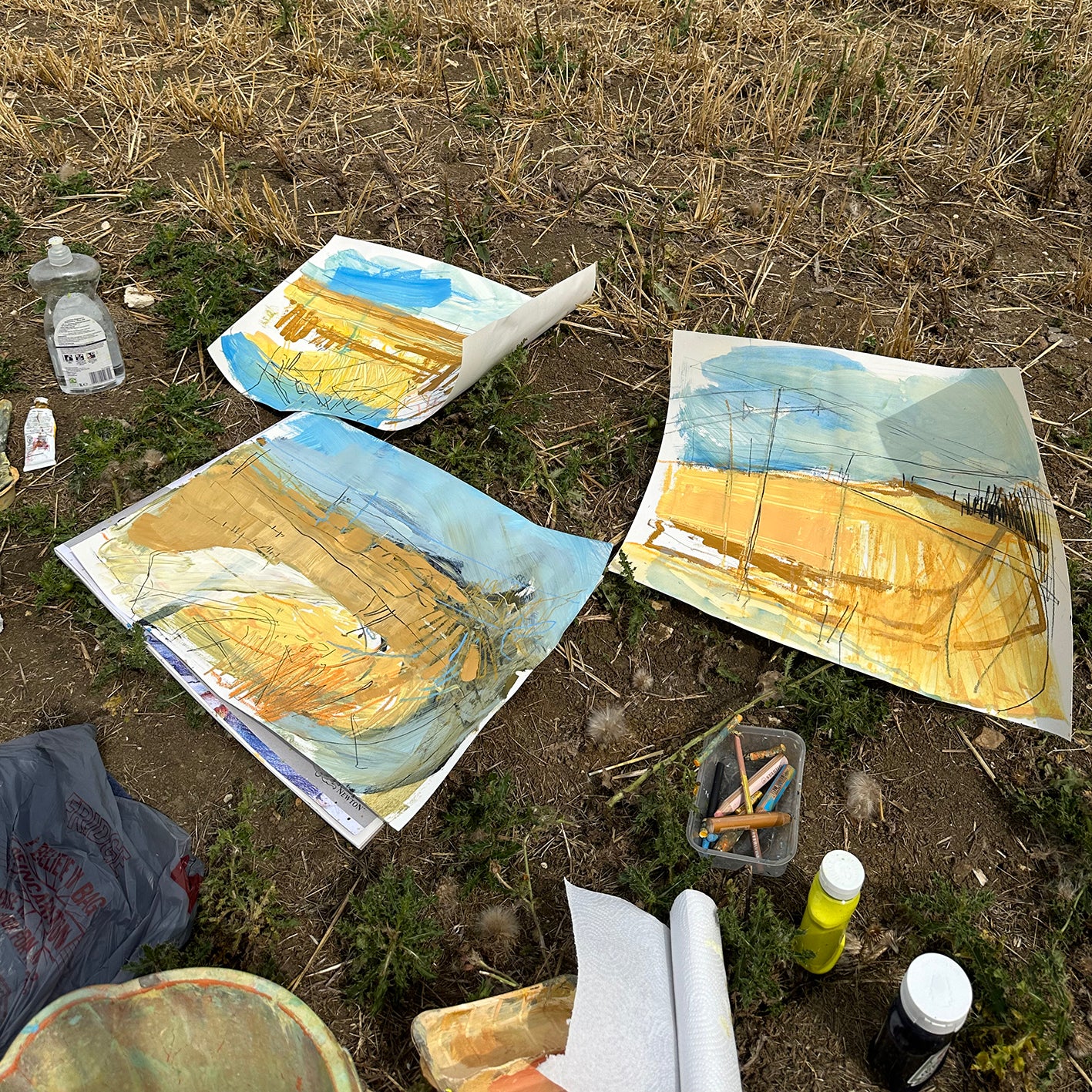 Richard Bayliss - The Abstracted Landscape: Painting Workshop on the North Norfolk Coast. Saturday 23 May 2026