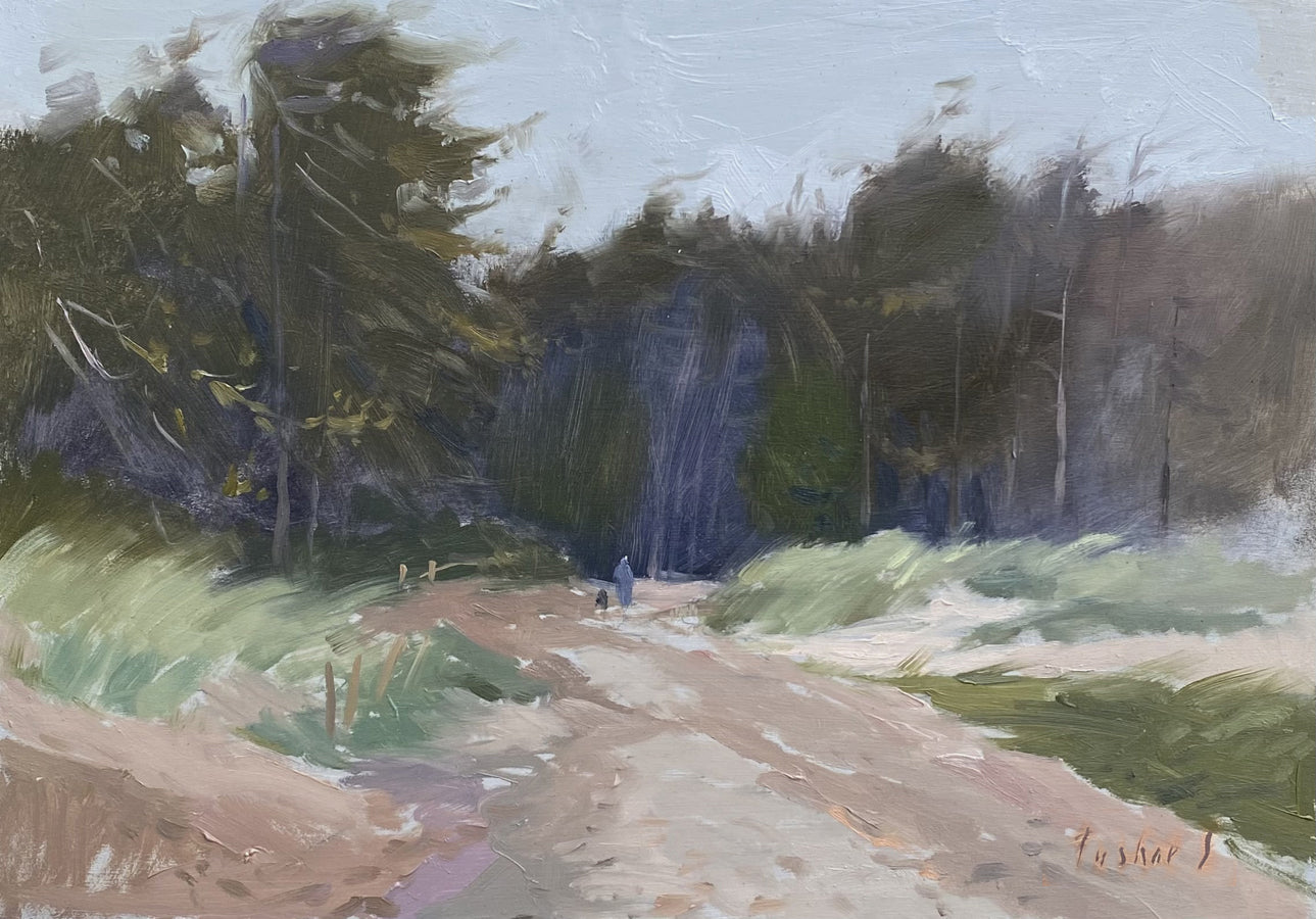 Tushar Sabale: Walk on Windy Beach