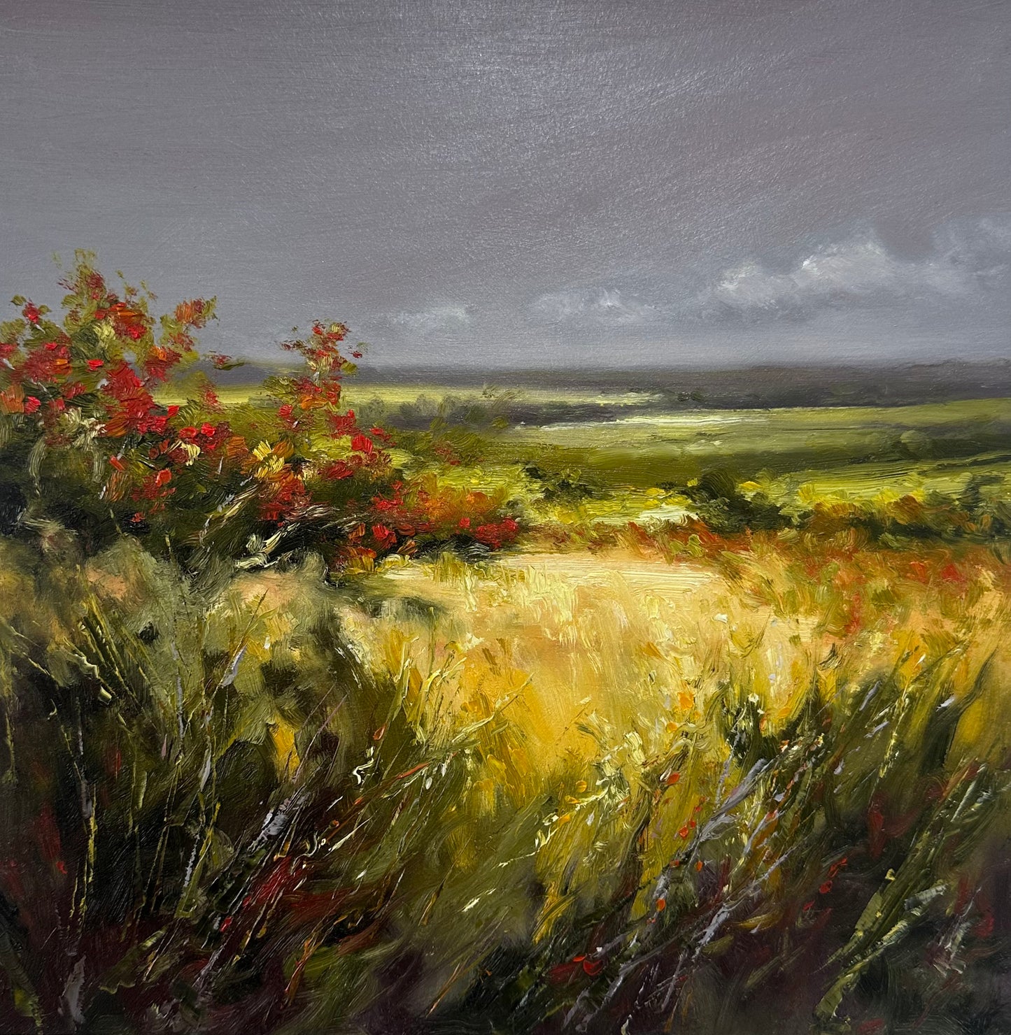 Sarah Burt: Beyond the Hawthorns