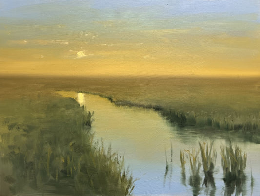 Peta Wainwright: The Tern's Passage
