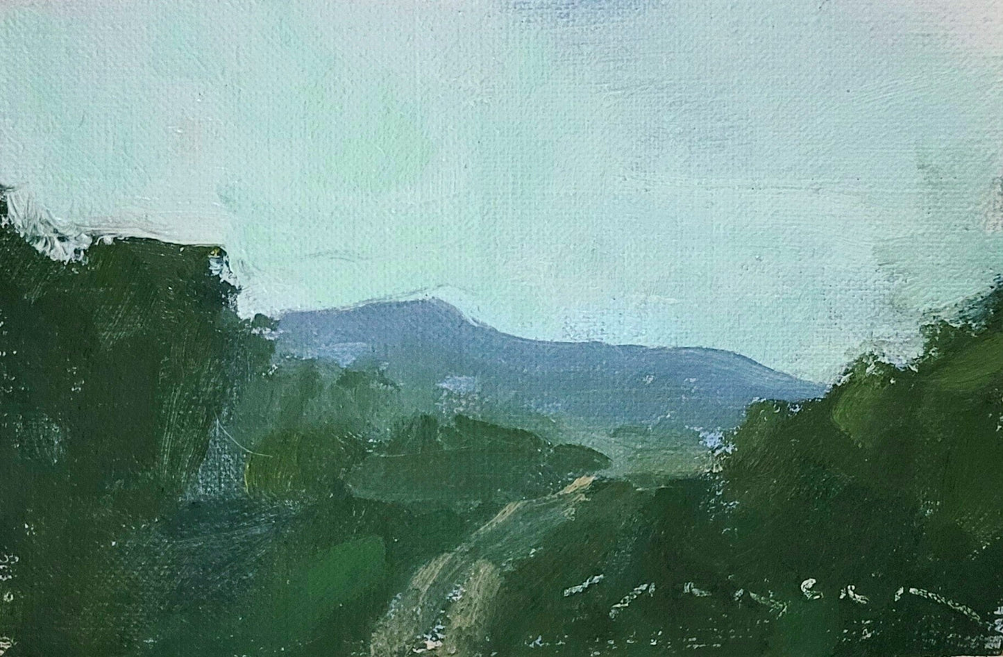 Erin Spencer : Mountain Path