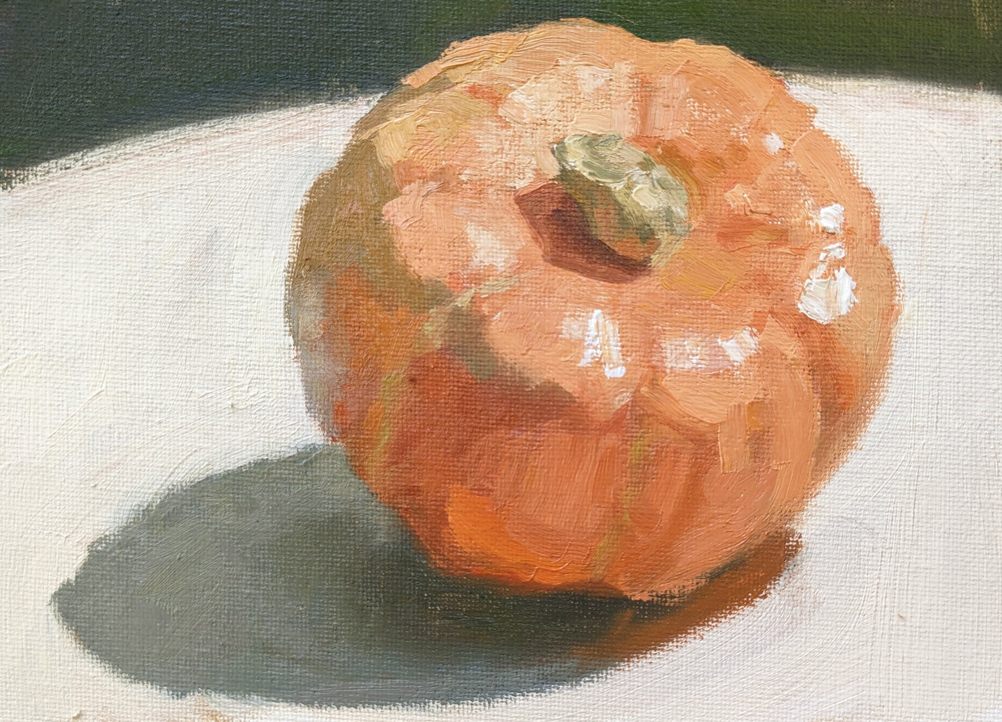 Lotta Teale : Little Pumpkin